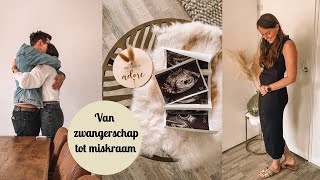 VAN ZWANGERSCHAPSTEST TOT MISKRAAM 💔 [upl. by Vania]