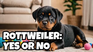 Should You Get A Rottweiler Puppy [upl. by Leizar]