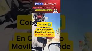 Multa x mascota al Volante policia noticias [upl. by Grewitz38]