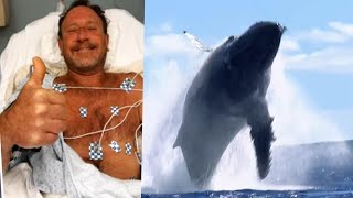 Man Swallowed by Humpback Whale Was 1 in a Trillion [upl. by Mashe]