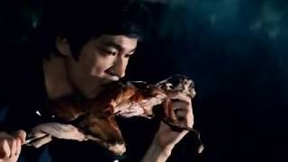 Bruce Lee Is Eating a Rabbit Not a Cat [upl. by Medrek]