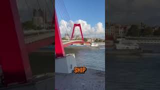 Ship Crashes into Bridge – Unbelievable Moment Captured shorts [upl. by Eniarol779]