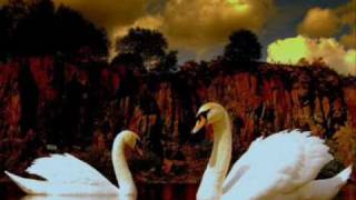 Swan Lake Overture by Piotr Ilici Ceaikovski [upl. by Wyne355]