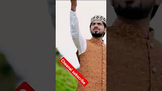 Umair zubair Qadri New Naat 2024  Punjabi Naat Status [upl. by Brotherson572]