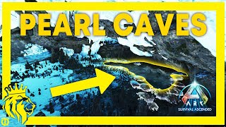 TOP 10 Pearl CAVES on The Island  ARK Survival Ascended [upl. by Roldan117]