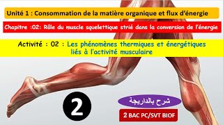 Les phénomènes thermiques et énergétiques liés à lactivité musculaire 2bac Partie 2 شرح بالداريجة [upl. by Aliahkim]