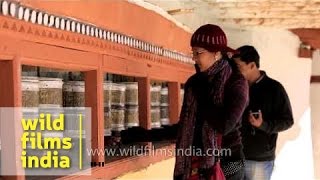 Chorten and Prayer wheels at Hemis Monastery Ladakh [upl. by Ahseiyk621]