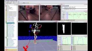 Gait Analysis with Force Plate in Simi Motion 3D [upl. by Adlez]