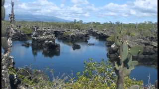 los tunels isabella galapagos [upl. by Iene678]