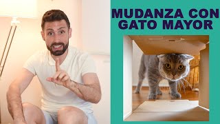 ¿Cómo afrontar una mudanza con un gato muy mayor 15 años [upl. by Huebner347]