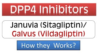 DPP4 Inhibitors  Januvia Sitagliptin Galvus Vidagliptin  Pharmacology amp Mechanism of Action [upl. by Anett610]