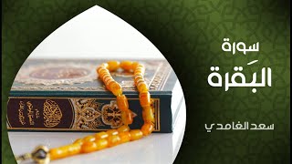 سورة البقرة بصوت القارئ الشيخ سعد الغامدي [upl. by Trescha617]