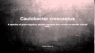 Medical vocabulary What does Caulobacter crescentus mean [upl. by Ennaisoj23]