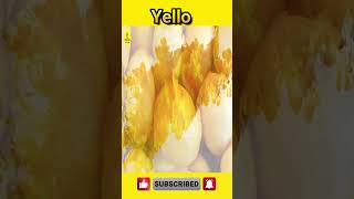 Colors name  learn colors name  yellow color shorts youtubeshorts colors [upl. by Arva]