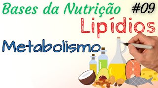 LIPÍDIOS Metabolismo  Lipólise Lipogênese Beta oxidação  Bases da Nutrição 09 [upl. by Nomed696]