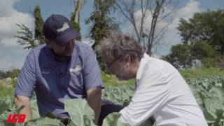 Plaisirs d’ici avec Christian Bégin  Les Jardins Vegibec [upl. by Atiugal]