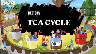 Learn the TCA Cycle Full Lesson  Sketchy MCAT  Biochemistry [upl. by Maidie]