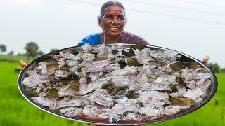 Sardinella Lemuru Dried Fish With Tomato DriedElaFish Recipe [upl. by Oinoitna]