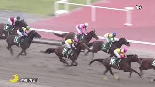 Cafe Pharoah wins Sirius Stakes G3 race 11 at Chukyo 1032020 [upl. by Lois]