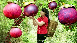 How to Harvest Mangosteen goes To Market Sell  Harvesting and Cooking Tieu Vy Daily Life [upl. by Vanden]