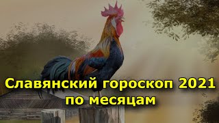 Славянский гороскоп 2021 по месяцам Прогнозы на год Кричащего Петуха [upl. by Raffarty]