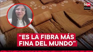 Fibra de vicuña peruana lista para conquistar Europa [upl. by Almap]