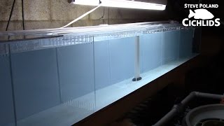 Fishroom Build  Adding 8ft Tank for Plants [upl. by Mitzi]