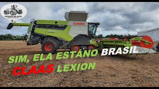 CLAAS LEXION NO BRASIL [upl. by Stenger]