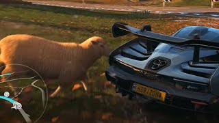 I hit a sheep 100 PROOF  Forza Horizon 4 [upl. by Sllew]