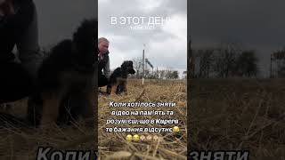 Щоб зняти повне відео завжди було купа експромтів 😆😆😆 [upl. by Tennaj]