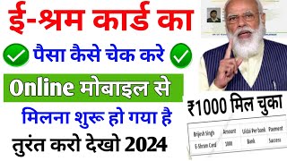 E Shram Card Ka Paisa Kaise Check Kare 2024 [upl. by Hirschfeld]