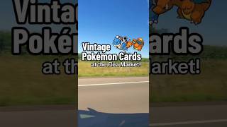 I Found Vintage Pokémon Cards at the Flea Market pokemoncards pokemon fleamarket vintage cards [upl. by Annahtur]