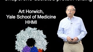 Arthur Horwich YaleHHMI Part 1B Chaperoneassisted protein folding [upl. by Adnerb931]