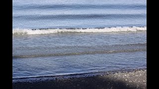 Qualicum Beach Park [upl. by O'Malley]