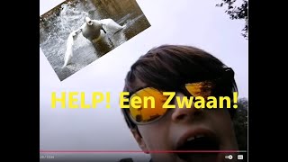 KIJK UIT Een Zwaan [upl. by Lehsreh421]