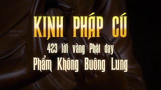 Giảng giải 423 lời vàng Phật dạy  Phần 2  KINH PHÁP CÚ  Phẩm Không Buông Lung [upl. by Dygall613]