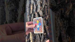 Quick 1 Card Reading  1 tarot [upl. by Siramad]