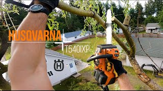 Husqvarna T540IXP The Worlds Best Electric Chainsaw [upl. by Hnahk]