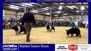 2023 Guadalupe County Youth Show [upl. by Euqinmod]