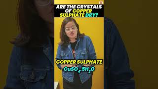 Are the Crystals of Copper Sulphate Dry  Class 10 Chemistry  CBSE Board Exam 2024 [upl. by Lerrud]