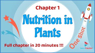 Class 7 Science Chapter 1 Nutrition in Plants  One Shot in 20 minutes  CBSE Class 7 [upl. by Aihsirt]