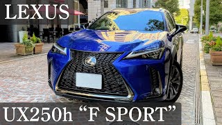 【走行動画】LEXUS UX250h quotF SPORTquot  首都高 [upl. by Einnob723]