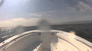 23cc Tidewater Boat Running in a sloppy inlet [upl. by Eitsirhc]