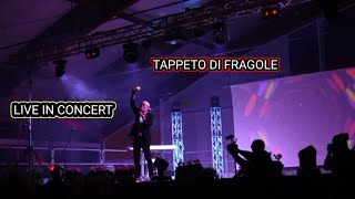 EKI  TAPPETO DI FRAGOLE LIVE CONCERT IN LOREGGIA ITALY [upl. by Friedman712]