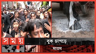 দুধ দিয়ে পা ধোয়ানো হলো দুলদুলের  Tajia Michil  Tomb of Imam Hussain  Hussaini Dalan Duldul Horse [upl. by Yedok548]