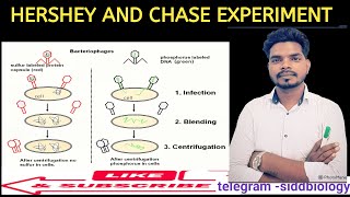 Hershey and Chase experiment [upl. by Mokas74]