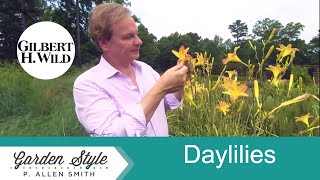 How to Plant and Care for Daylilies  Garden Style 1906 [upl. by Labannah914]