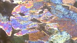 Muscovite thin section under microscope [upl. by Hirsh]