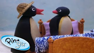 Pingu and Pinga Dont Want to Go to Bed  Pingu Official  1 Hour  Cartoons for Kids [upl. by Holtorf]