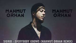 Sigrid  Everybody Knows Mahmut Orhan Remix [upl. by Miof Mela448]